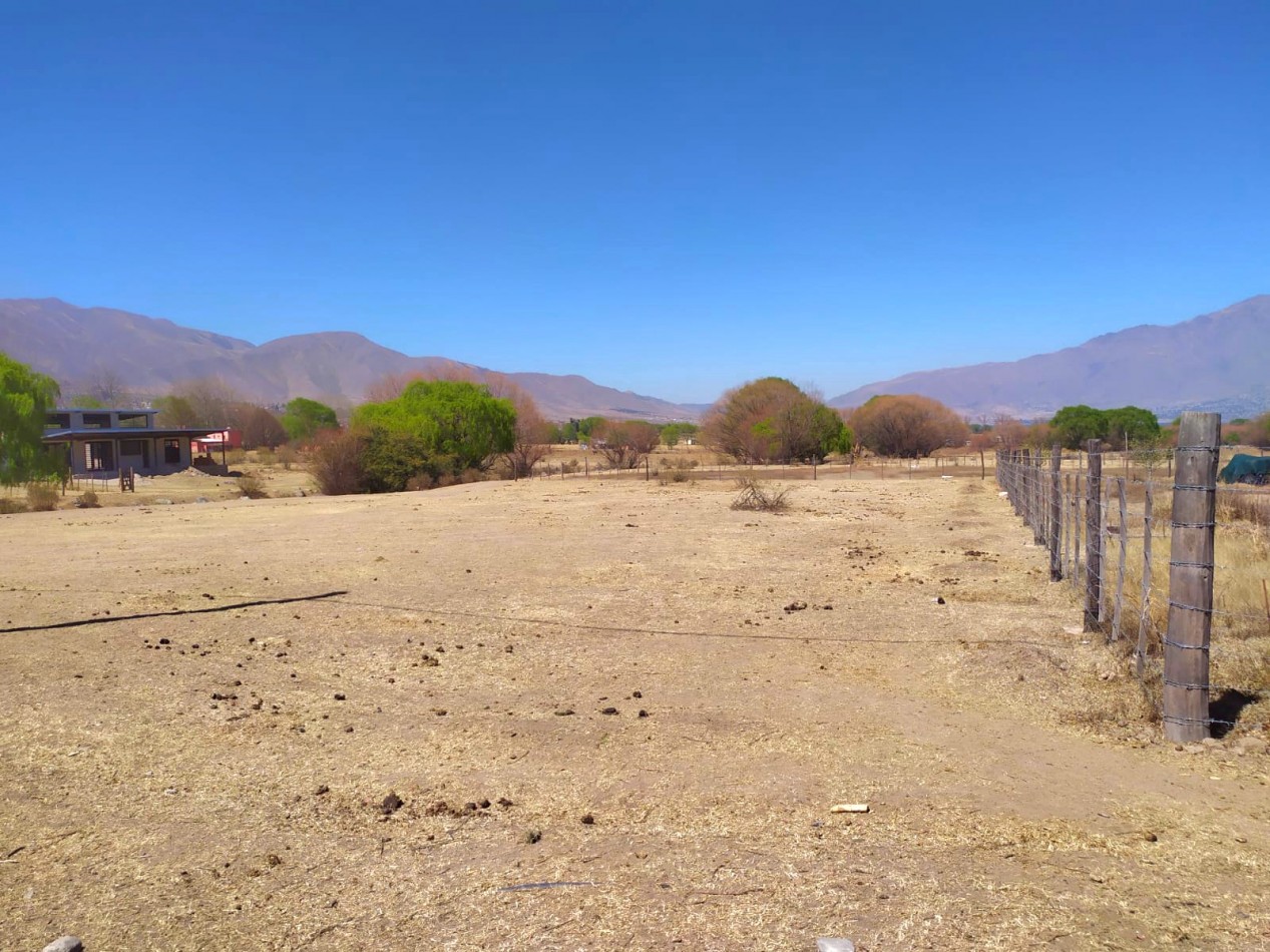 Terreno de 930 m2 c/ Escrituras - Los Castanos