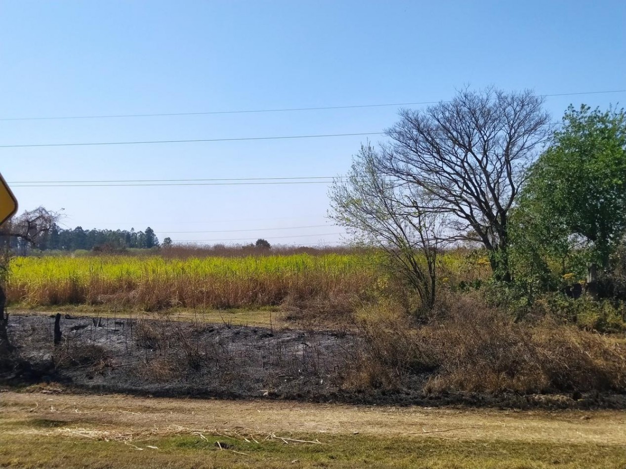 Finca 20 ha Ideal Para Cana o Loteo en San Andres Tucuman - Cruz Alta 