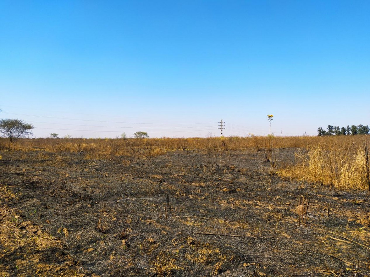 Finca 20 ha Ideal Para Cana o Loteo en San Andres Tucuman - Cruz Alta 