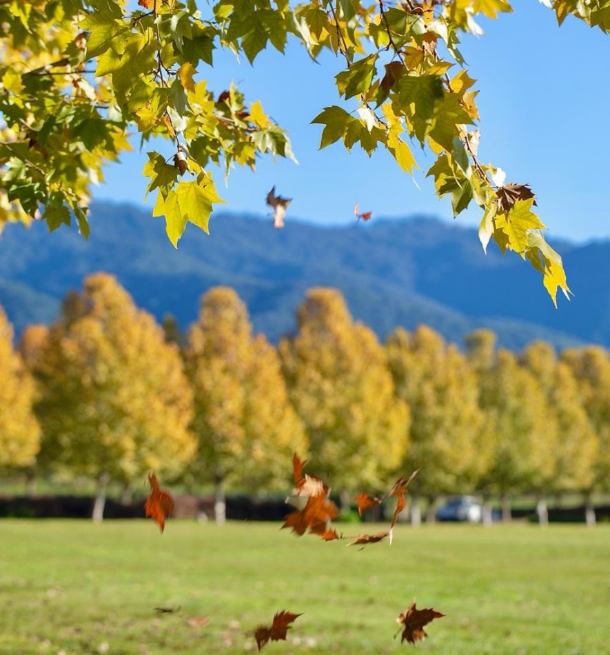 San Pablo Country - 3° Etapa - Lotes desde 700 m2- Buonaventura 