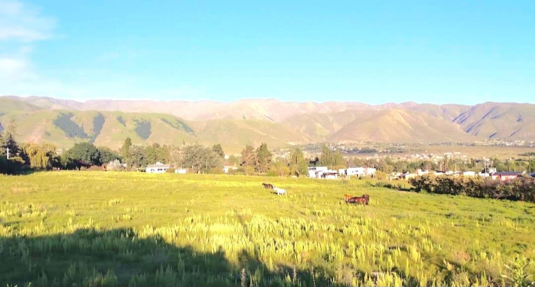 Colalao del Valle - Terreno de 9000 m2- Zona de Viñedos