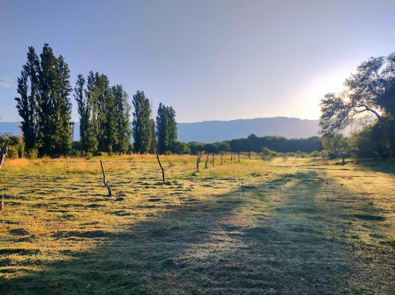 Colalao del Valle - Terreno de 9000 m2- Zona de Viñedos