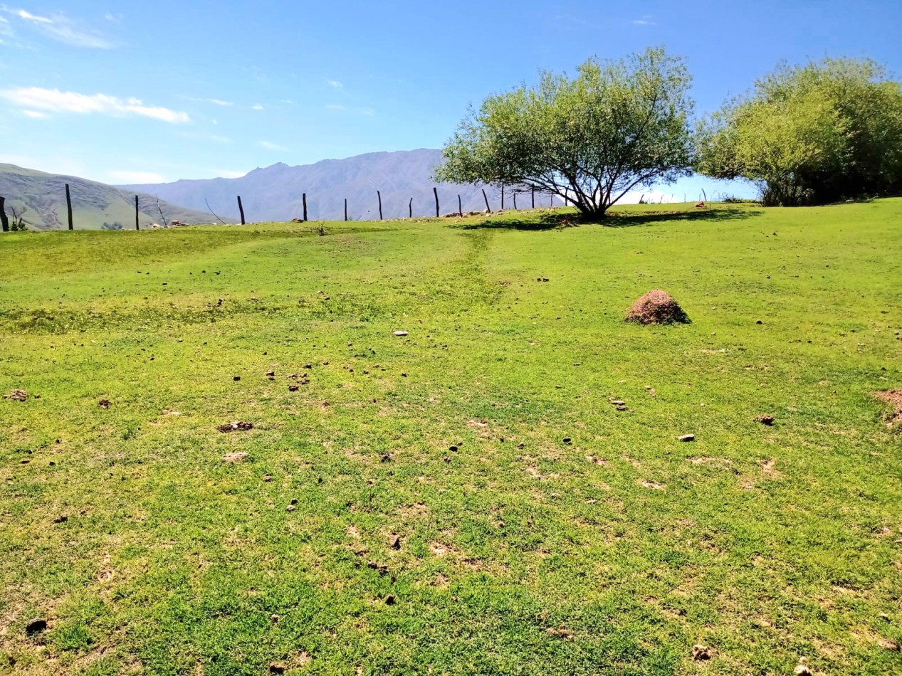 Tafi del Valle - Las Carreras -Terreno de 1070 M2 s/ Ruta 325