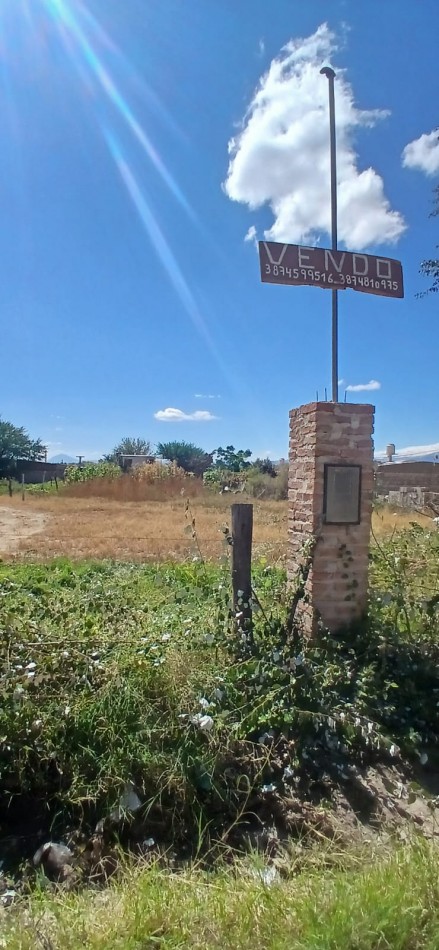 Animana - Terreno de 766 m2 c/ Escrituras- Av. Malvinas Argentinas