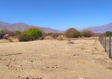 Terreno de 930 m2 c/ Escrituras - Los Castanos