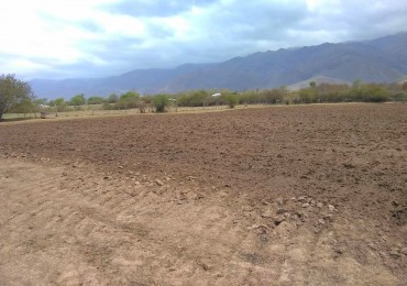 Terreno de 6556 m2 Arroyo Los Morales ( La Ovejeria) Tafi del Valle