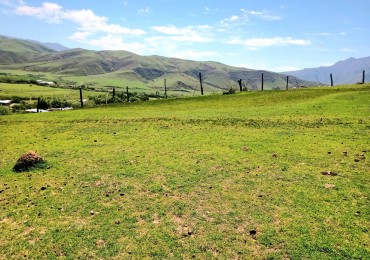 Tafi del Valle - Las Carreras -Terreno de 1070 M2 s/ Ruta 325